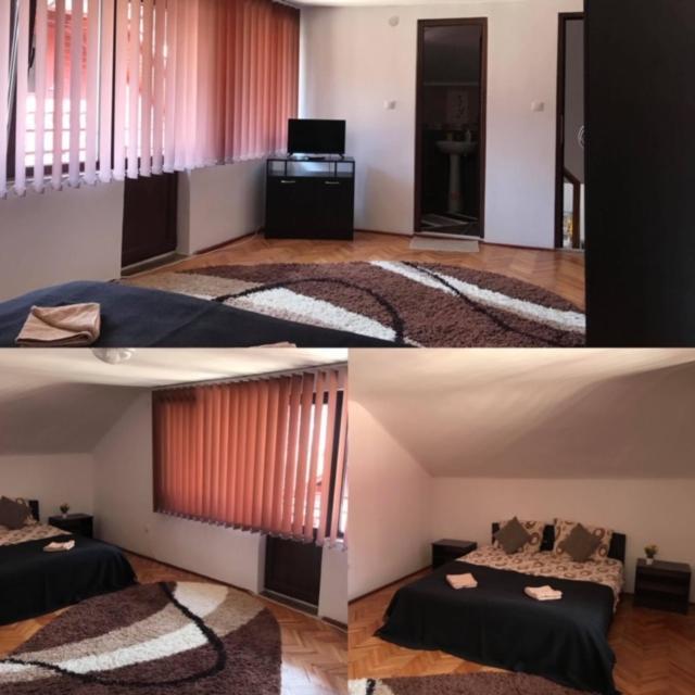 Kral Villa Sovata Ngoại thất bức ảnh